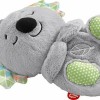 Fisher Price Μουσικό Κοάλα - Γλυκιά Αγκαλιά (GRT59)