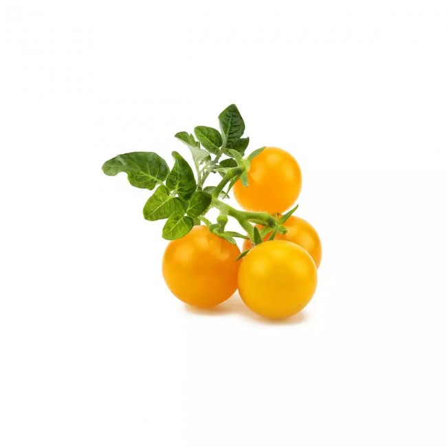 Click and Grow Yellow Tomato Σπόροι Τομάτας 3τμχ