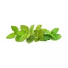 Click and Grow Συσκευασία Pods Μείγμα Χαλαρωτικού Τσαγιού Σετ των 9τμχ