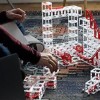 DesignNest Magnetic Construction Toy for Children