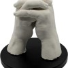 The Source Moulding Kit