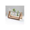 The Source Propergator Vases Ξυλινη βάση με βάζα για υδροπονική καλλιέργεια