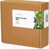 Click and Grow Συσκευασία Σπόρων με Χώμα για Μείγμα Ασιατικής Κουζίνας 9τμχ