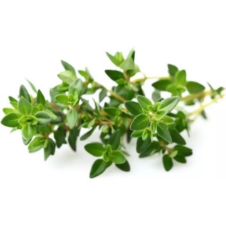 Click And Grow Συσκευασία Σπόρων Θυμάρι 9 Τεμάχια