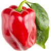Click and Grow Σπόροι Γλυκιάς Πιπεριάς 3τμχ