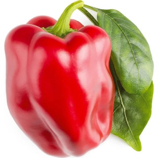 Click and Grow Σπόροι Γλυκιάς Πιπεριάς 3τμχ