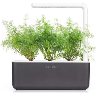 Click and Grow Σπόροι Άνηθος 3τμχ