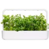 Click and Grow Σπόροι Μέντας 3τμχ