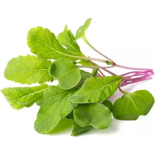 Click and Grow Σπόροι Ραπανάκι 3τμχ