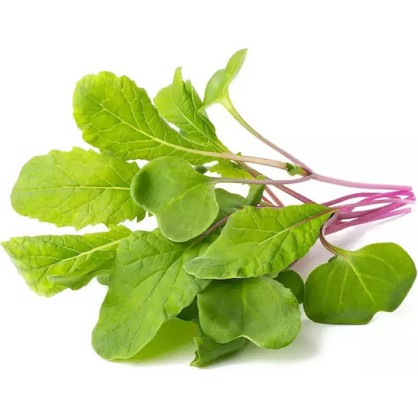 Click and Grow Σπόροι Ραπανάκι 3τμχ