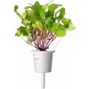 Click and Grow Σπόροι Ραπανάκι 3τμχ