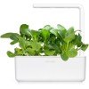 Click and Grow Σπόροι Μποκ τσόι 3τμχ
