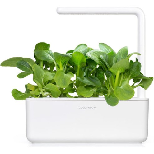 Click and Grow Σπόροι Μποκ τσόι 3τμχ