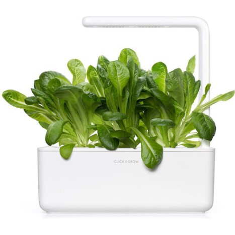 Click and Grow Σπόροι Μαρουλιού Romaine 3τμχ