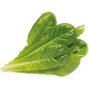 Click and Grow Σπόροι Μαρουλιού Romaine 3τμχ