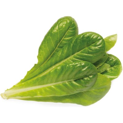 Click and Grow Σπόροι Μαρουλιού Romaine 3τμχ