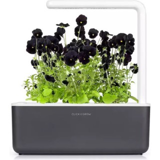 Click and Grow Σπόροι Πανσές Μαύρος 3τμχ