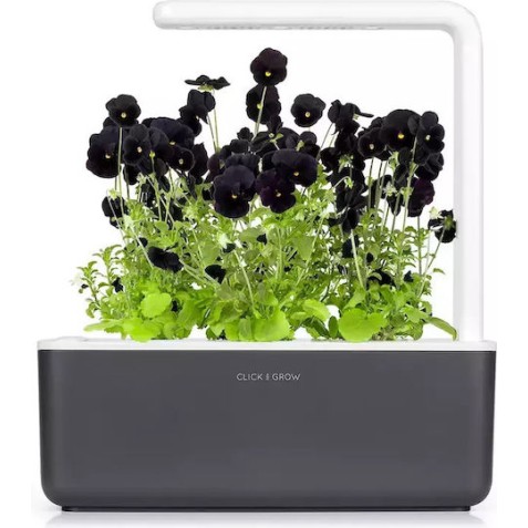 Click and Grow Σπόροι Πανσές Μαύρος 3τμχ