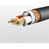 UGREEN AV130 20708 Kαλώδιο Ήχου XLR M/F 1m