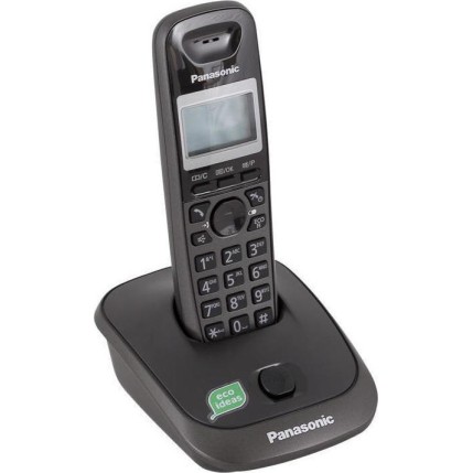 Panasonic KX-TG2511 Cordless Phone with Greek Menu Titanium Black
