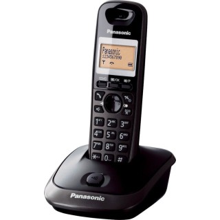 Panasonic KX-TG2511 Cordless Phone with Greek Menu Titanium Black