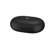 Beats Studio Buds + True Wireless Noise Cancelling Earbuds (Black / Gold)