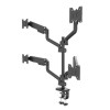 Focus Mount Monitor Bracket for Desktop DLB1044