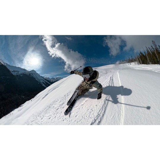 Go Pro Extension Pole 4 Feet 1.2m Black Agxtm-001