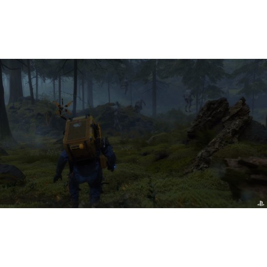 Death Stranding PS4 Game