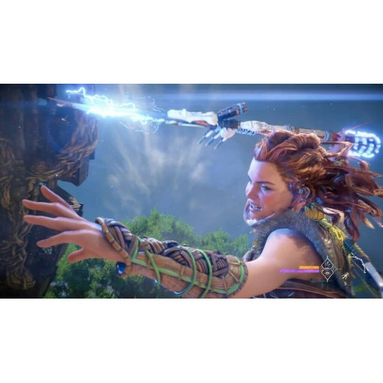 Horizon Forbidden West PS4 Game