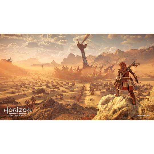 Horizon Forbidden West PS4 Game