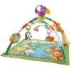 Fisher Price Rainforest Music & Lights Deluxe Gym