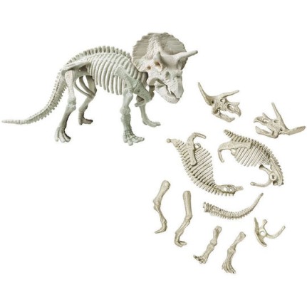 AS Μαθαίνω Και Δημιουργώ Lab Εκπαιδευτικό Παιχνίδι Δεινόσαυροι Τρικεράτωψ (63414) AS Μαθαίνω Και Δημιουργώ Lab Εκπαιδευτικό Παιχνίδι Δεινόσαυροι Τρικεράτωψ (63414)