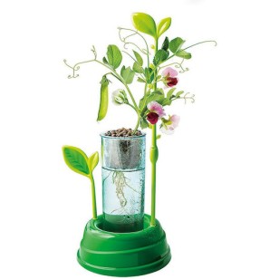 AS Clementoni: Μαθαίνω & Δημιουργώ LAB - Ο Κήπος Μου (1026-63408) AS Clementoni: Μαθαίνω & Δημιουργώ LAB - Ο Κήπος Μου (1026-63408)