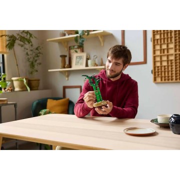 Lego Botanical Collection Lucky Bamboo για 18+ Ετών 325τμχ 10344