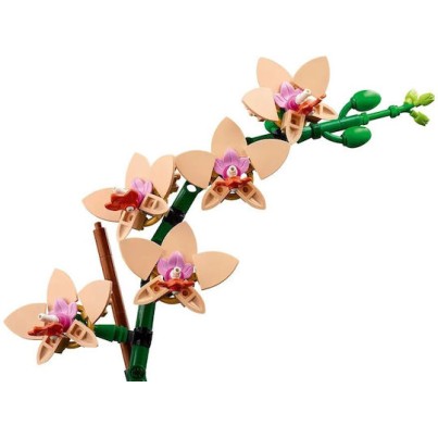 Lego Botanical Collection Mini Orchid για 18+ Ετών 274τμχ 10343