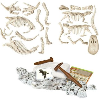 Clementoni T-Rex & Τρικεράτωψ Επαυξημένη Πραγματικότητα STEM Εκπαιδευτικό Παιχνίδι 1026-63403