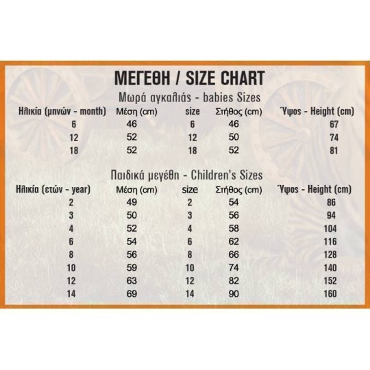 Αποκριάτικη Στολή Παιδική Elsa Frozen Μπλε 3-2191 (7-8 ετών)
