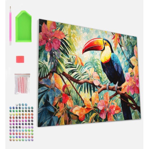 Splat Planet Σετ Diamond Painting “Toucan” σε Καμβά με Τελάρο 30x40cm