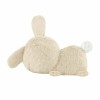 Fisher Price Animal Bunny made of Fabric with Music for 0++ Months