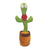 The Source Dancing Cactus Διαδραστικός Κάκτος που Χορεύει