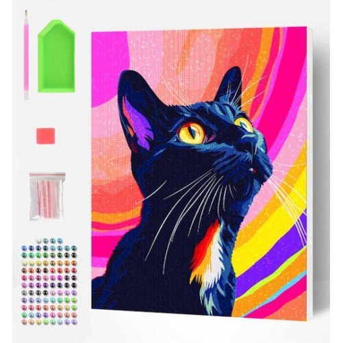 Splat Planet Σετ Diamond Painting "Black Cat" σε Καμβά με Τελάρο 30x40cm