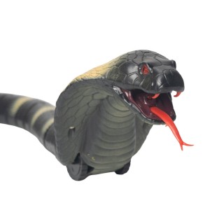 The Source RC Snake Το Τηλεκατευθυνόμενο Ερπετό