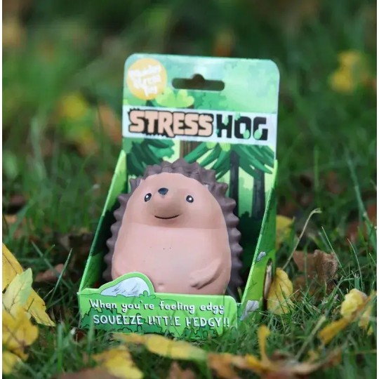Boxer Gifts Squishy Stress Toy Σκαντζόχοιρος (BB2235)