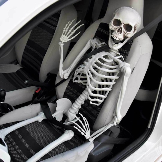MikaMax Human Size Skeleton