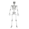 MikaMax Human Size Skeleton