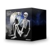 MikaMax Human Size Skeleton