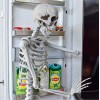 MikaMax Human Size Skeleton