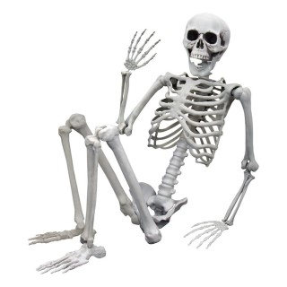 MikaMax Human Size Skeleton