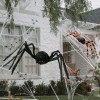 mm XXL Spider Halloween Decoration – Τρομακτική Διακόσμηση για Halloween